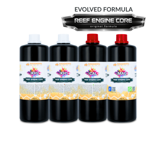 All-in-one Reef Keeping System (RKS) 4x1000 ml Set REEF ENGINE CORE 7.7x High Concentrate