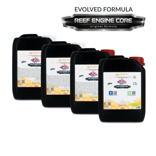 All-in-one Reef Keeping System (RKS) 4x2.5L Set REEF ENGINE CORE 7.7x High Concentrate